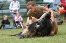 CAvAlle 1 * 3504 x 2336 * (3.4MB)